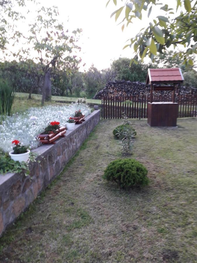 Matyasmadar Vendeghaz Hotel Tard Bagian luar foto