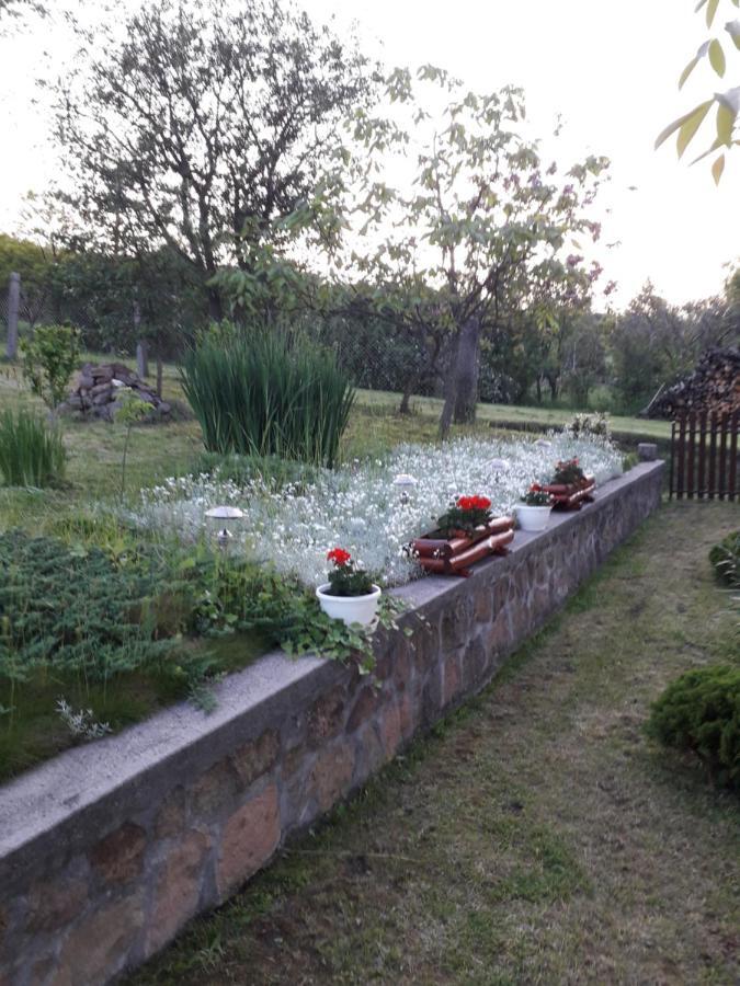 Matyasmadar Vendeghaz Hotel Tard Bagian luar foto